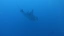 DSC00710.JPG