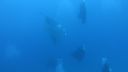 DSC00744.JPG