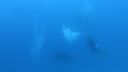 DSC00745.JPG