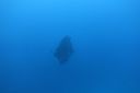 DSC00755.JPG