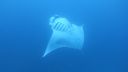 DSC00757.JPG