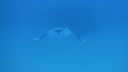 DSC00758.JPG