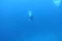 DSC00760.JPG