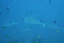 DSC00764.JPG