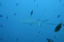 DSC00768.JPG