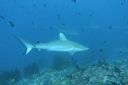 DSC00777.JPG