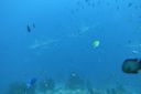 DSC00789.JPG