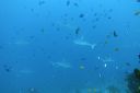 DSC00791.JPG