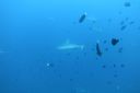 DSC00798.JPG