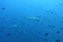 DSC00804.JPG
