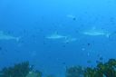 DSC00807.JPG