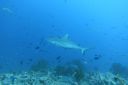 DSC00852.JPG