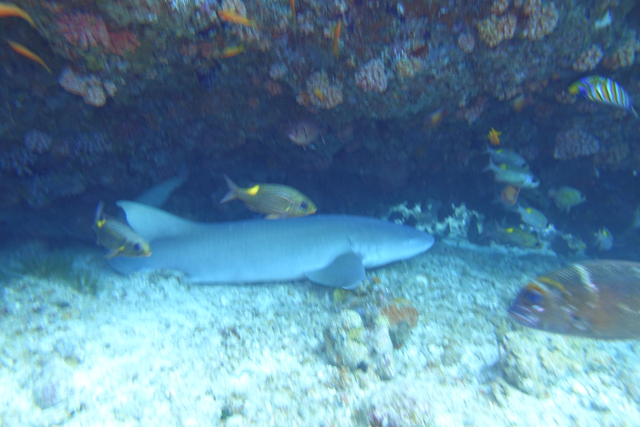 DSC00053.JPG