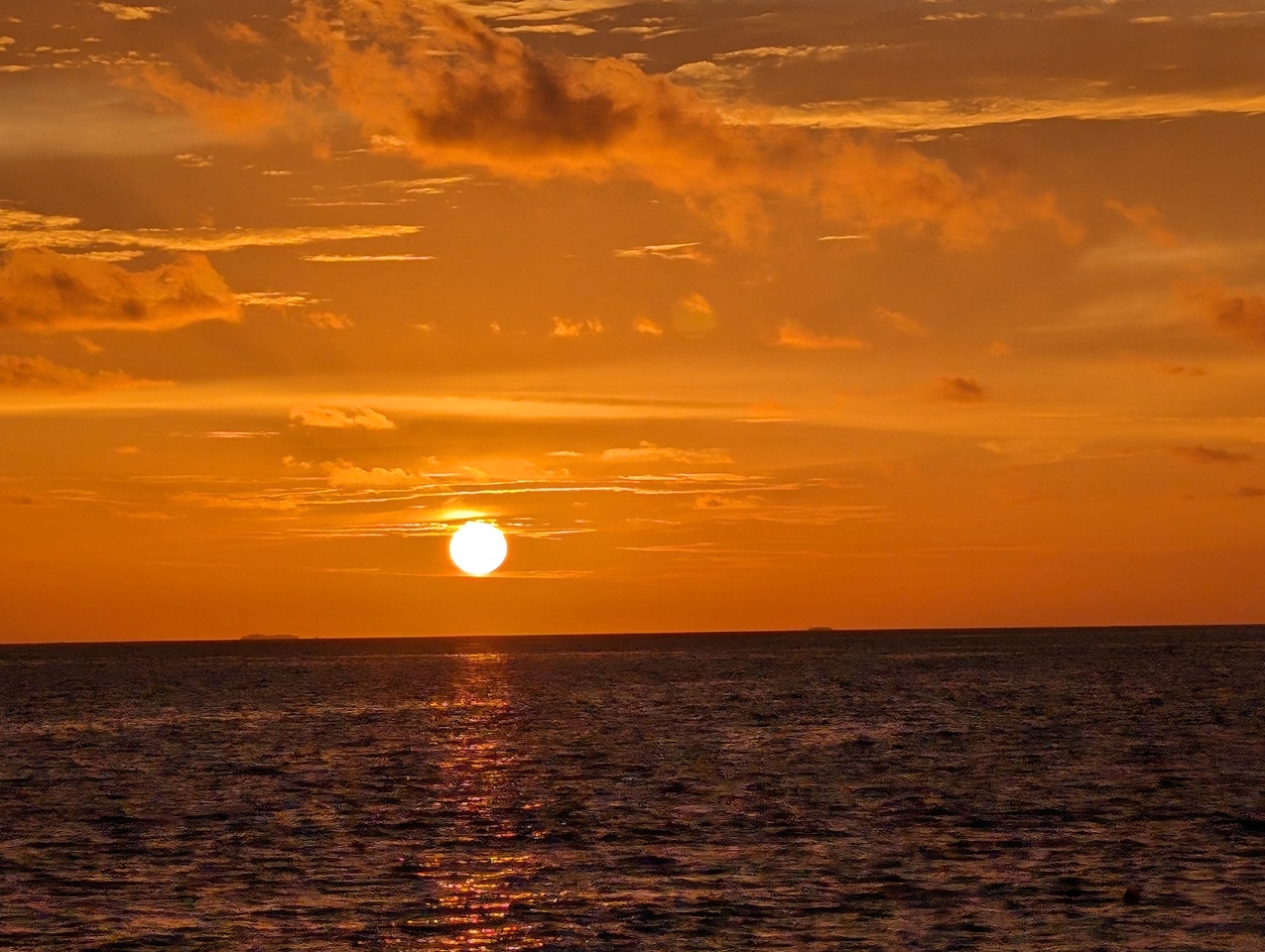 DSC00088-1.JPG