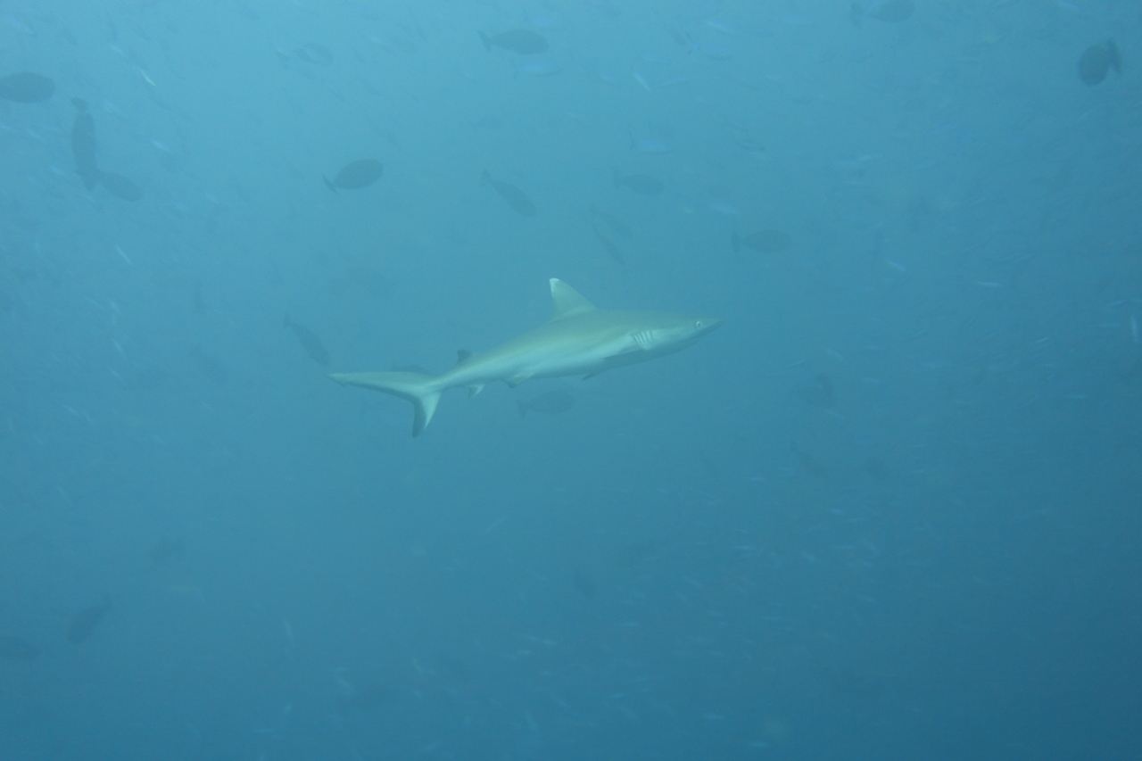 DSC00222.JPG