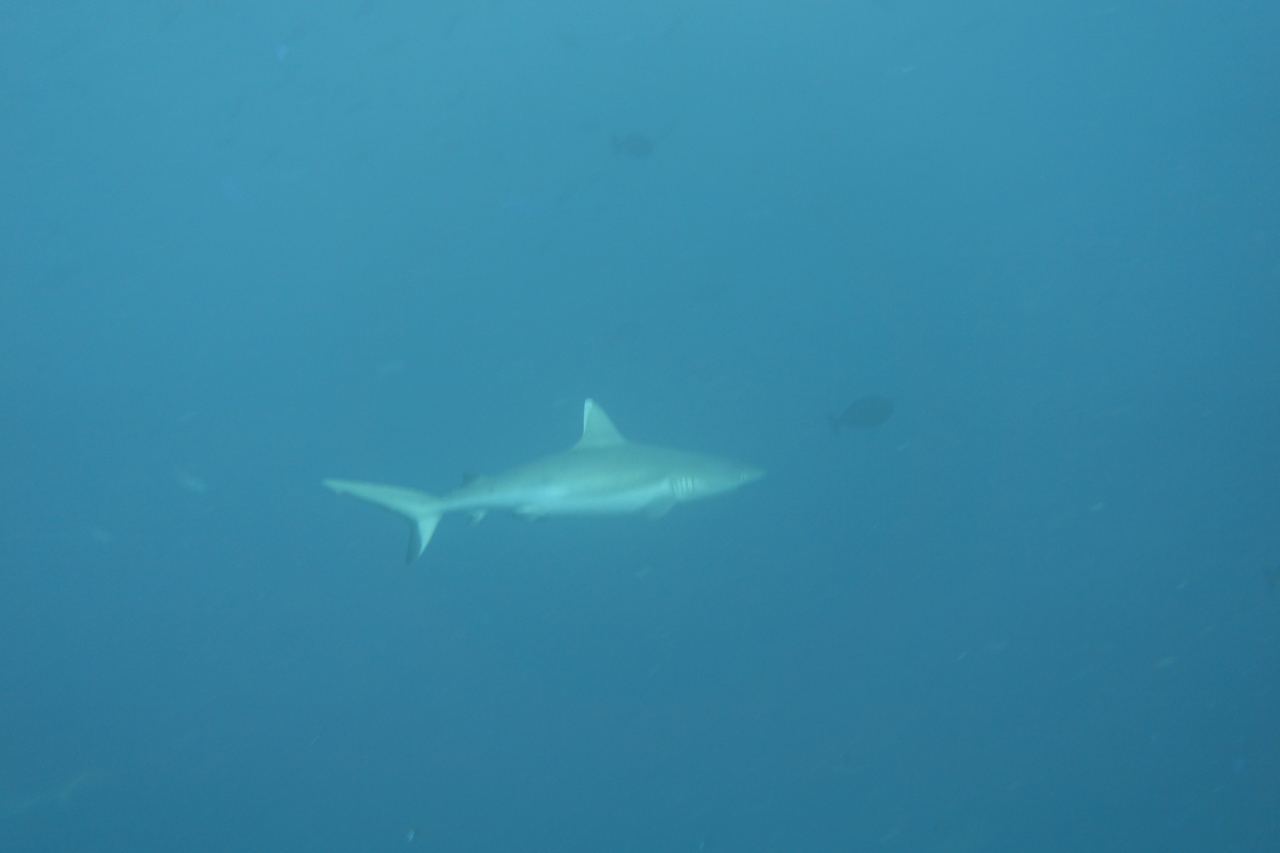 DSC00227.JPG
