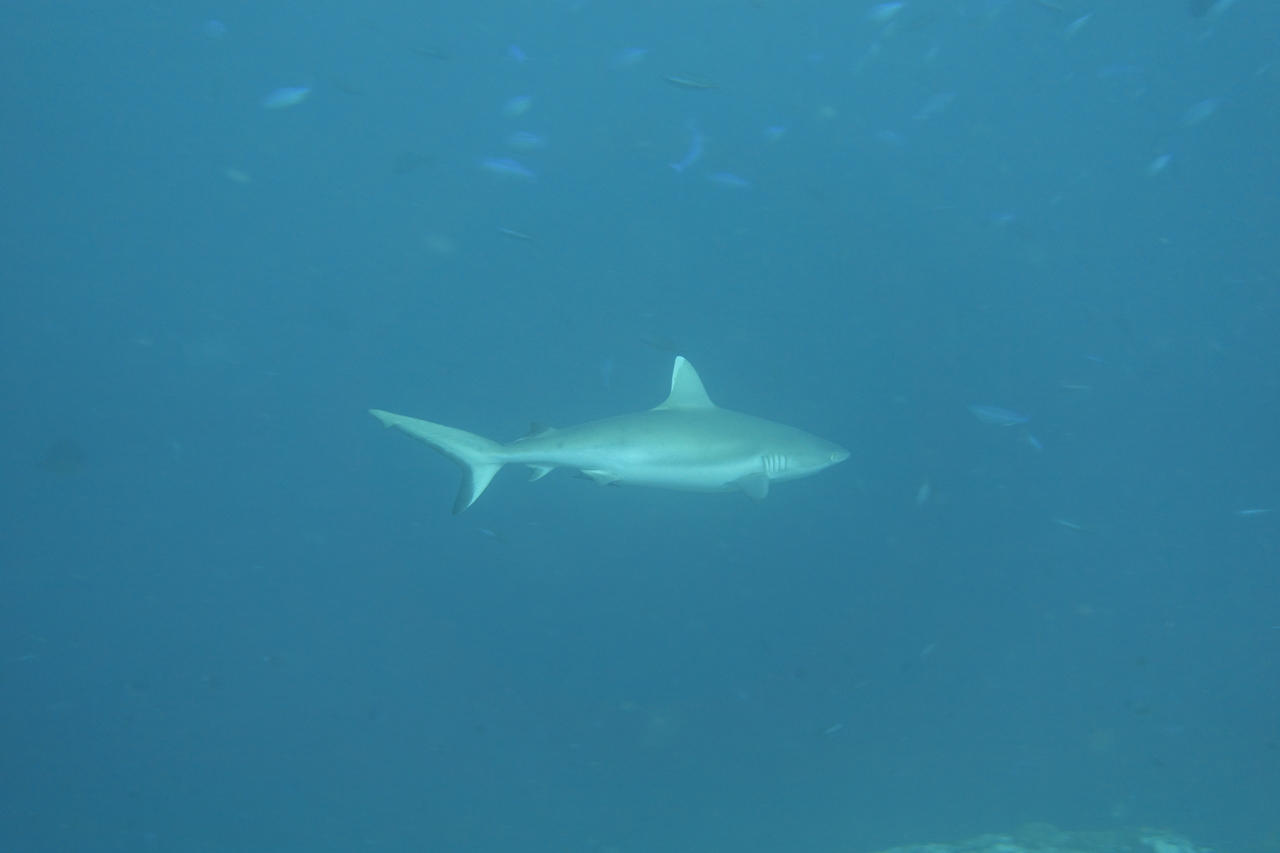 DSC00228.JPG