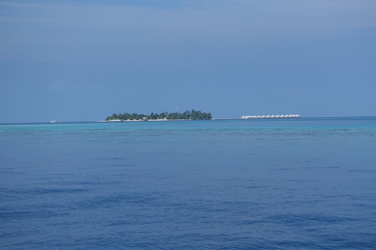 DSC00271.JPG