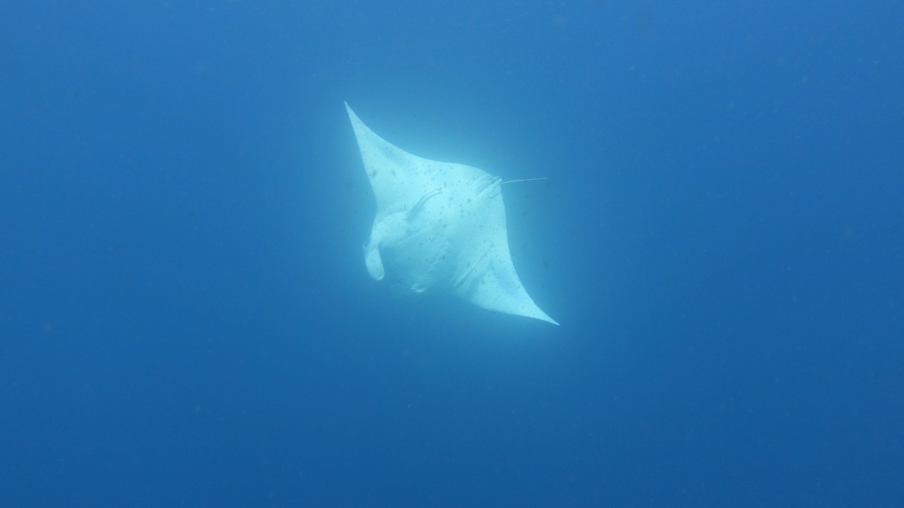 DSC00321.JPG