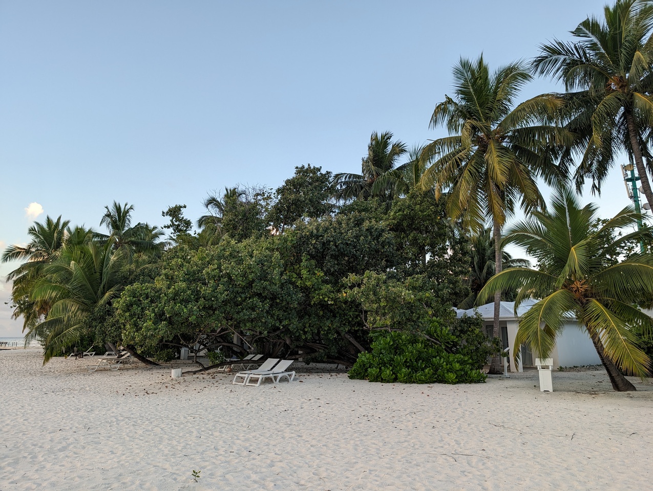DSC00521-4.JPG
