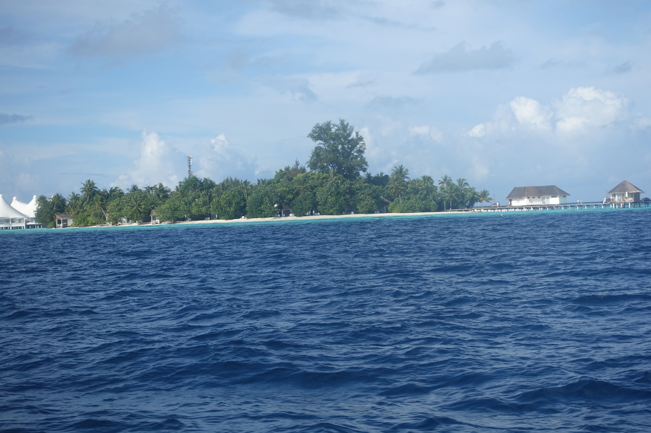 DSC00545.JPG