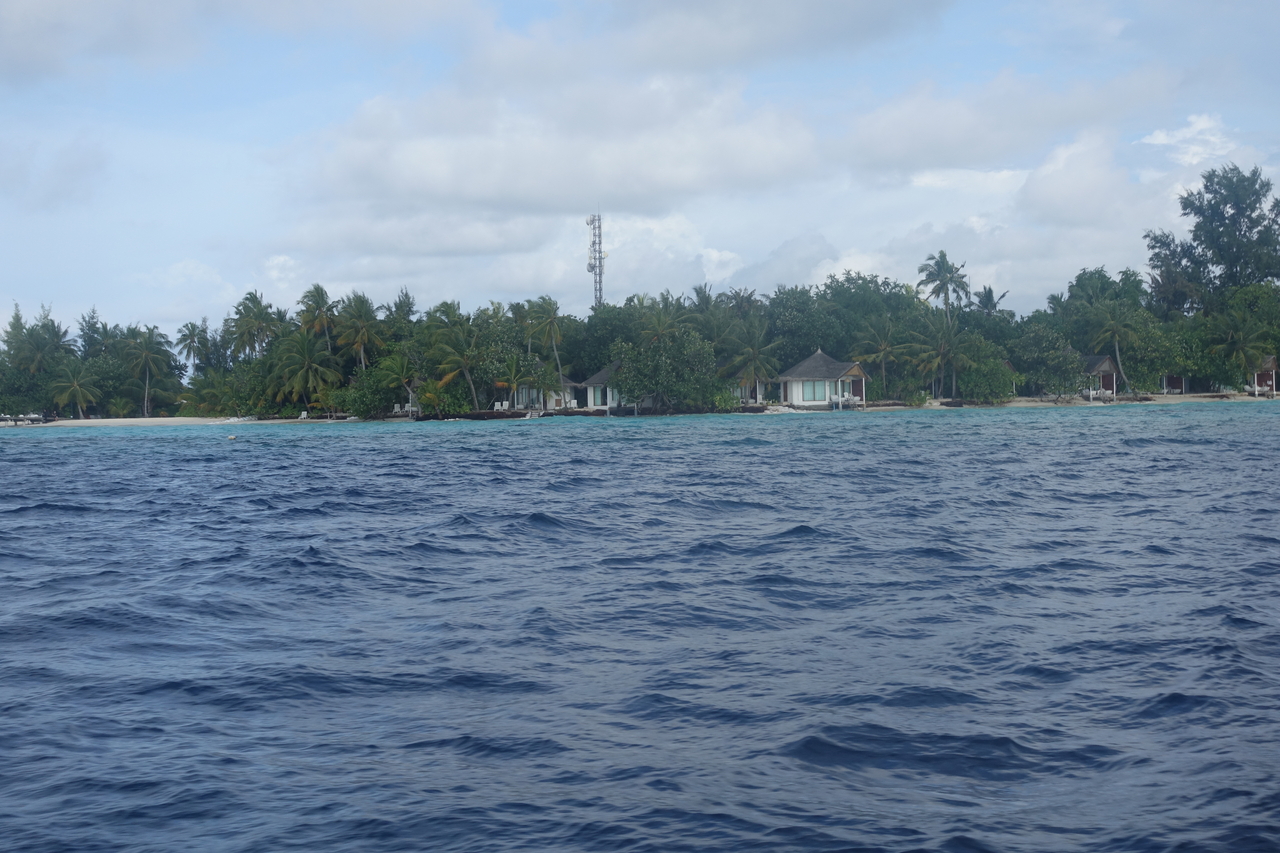 DSC00549.JPG