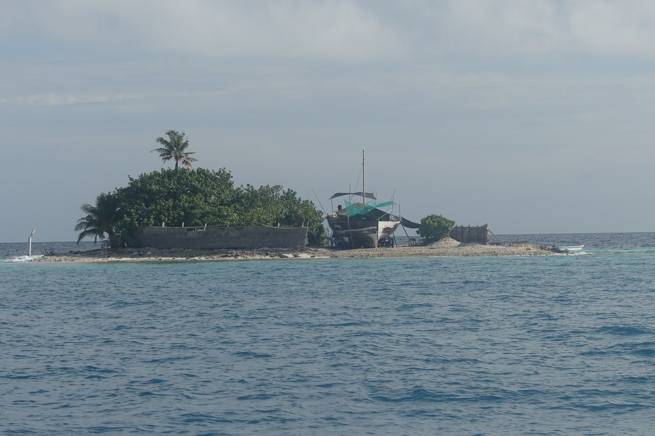 DSC00556.JPG