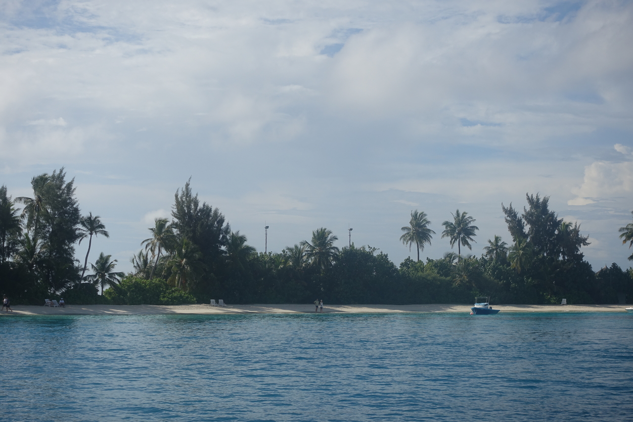 DSC00560.JPG