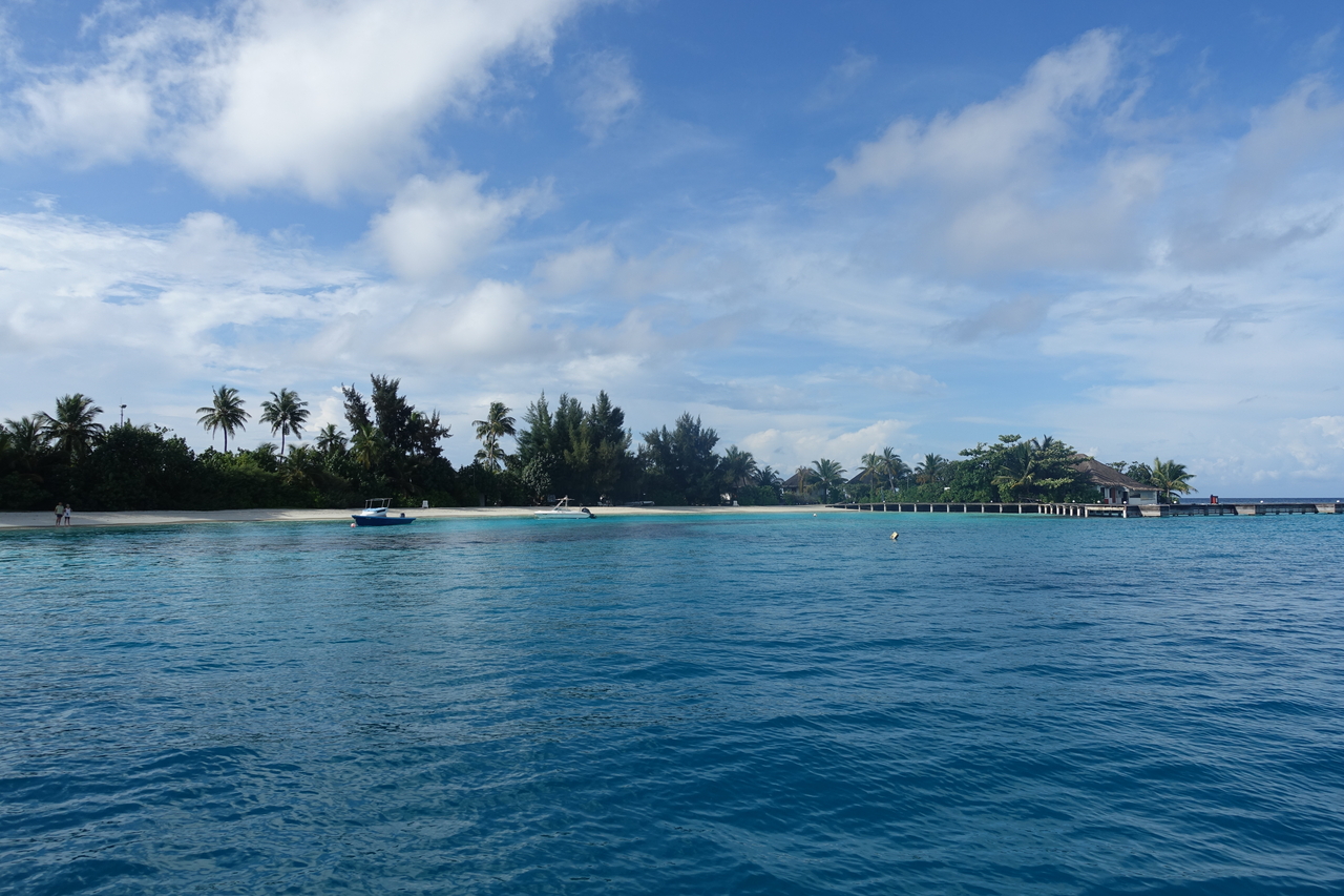 DSC00562.JPG