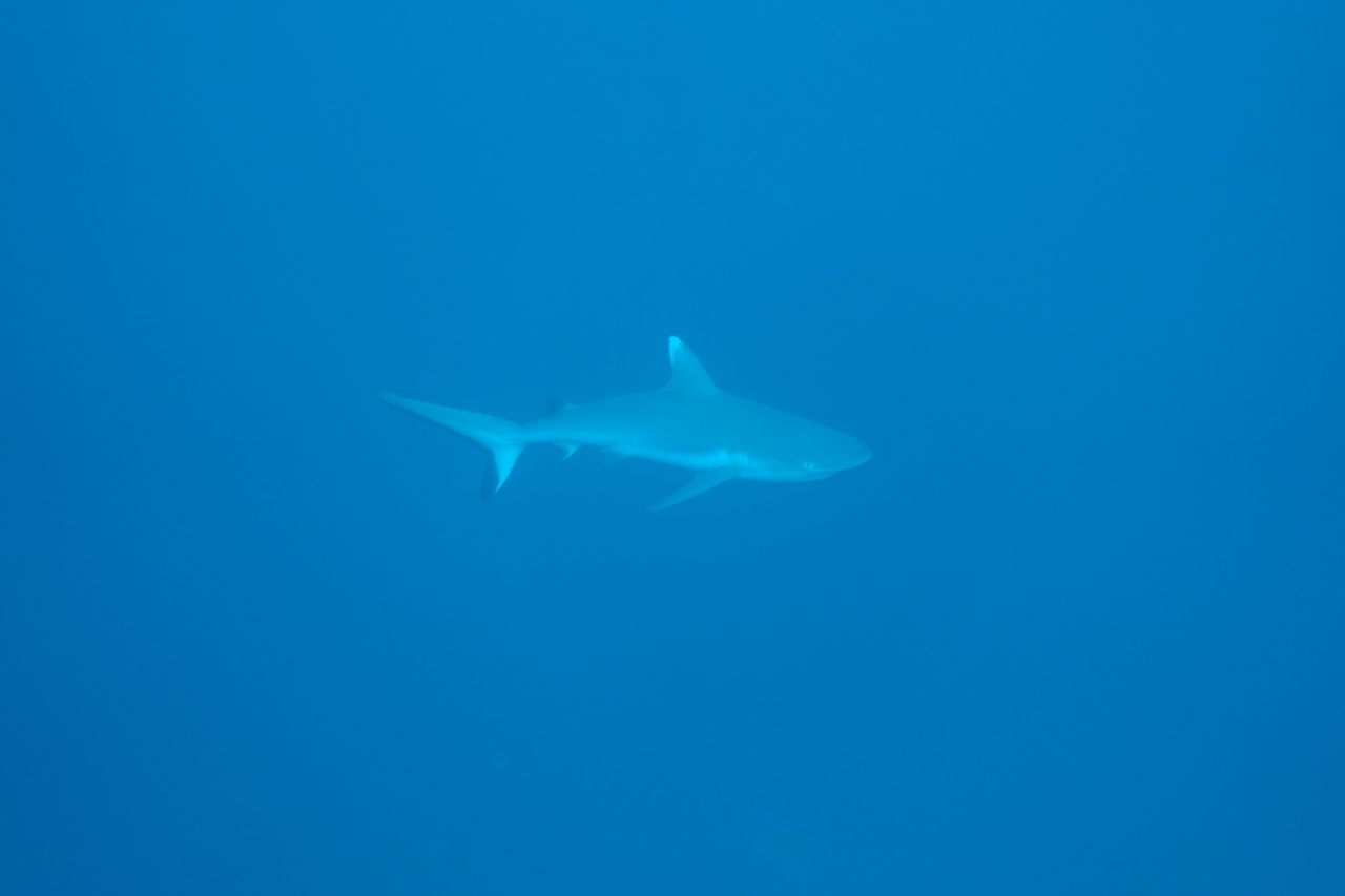 DSC00572.JPG