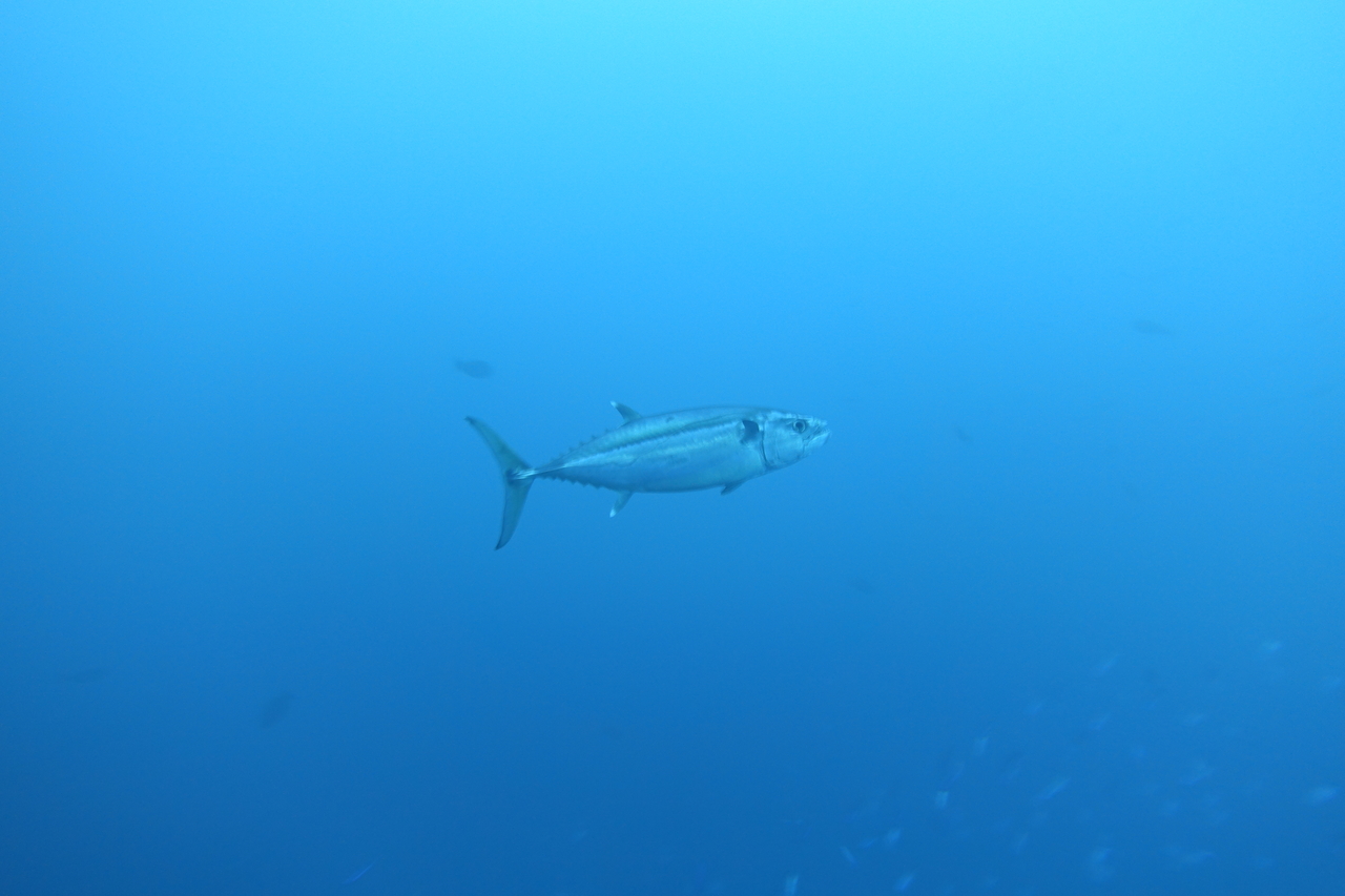 DSC00576.JPG