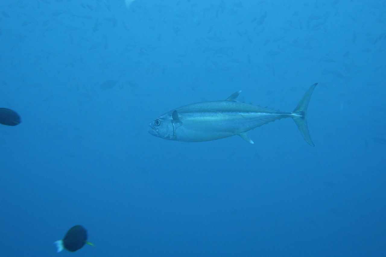DSC00581.JPG