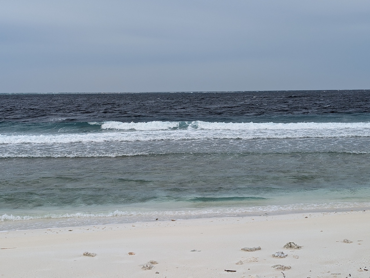 DSC00586-1.JPG