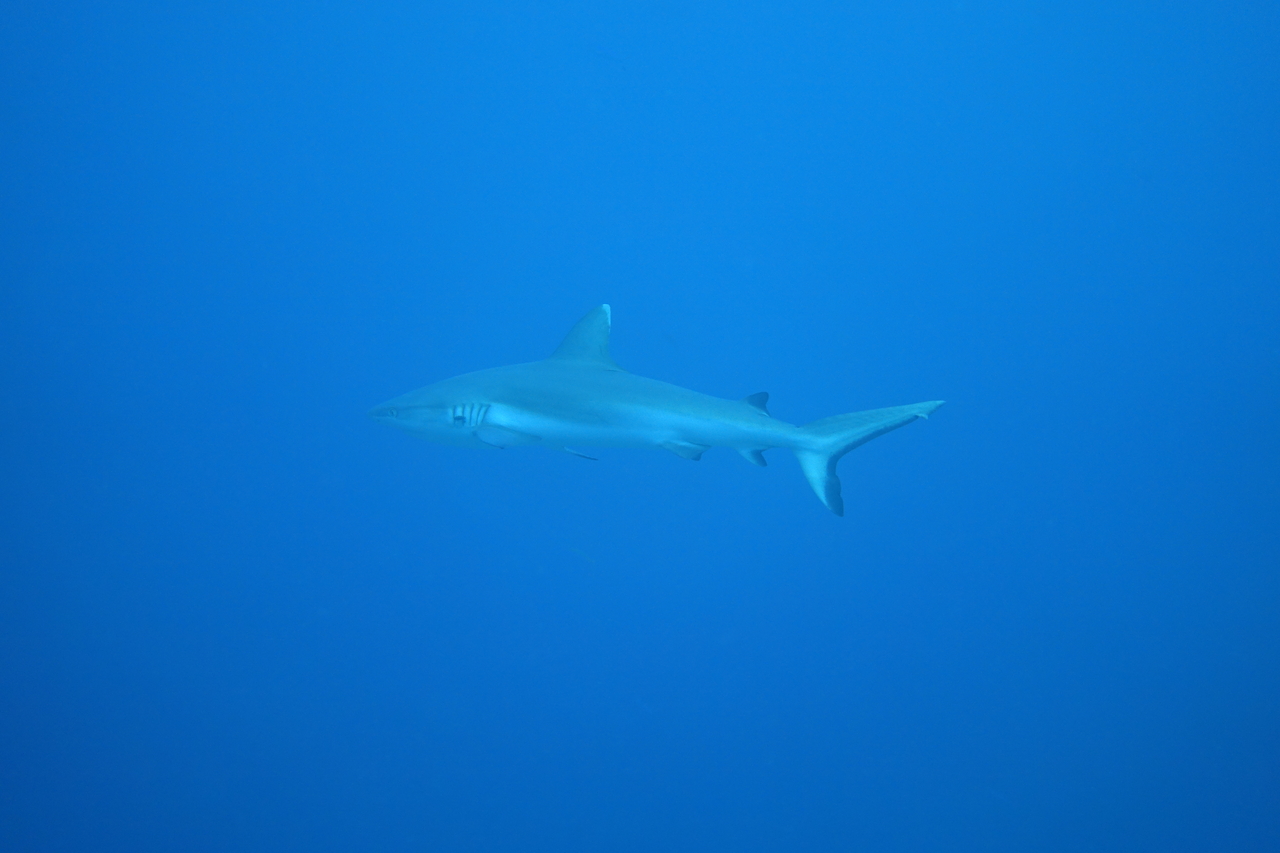 DSC00590.JPG