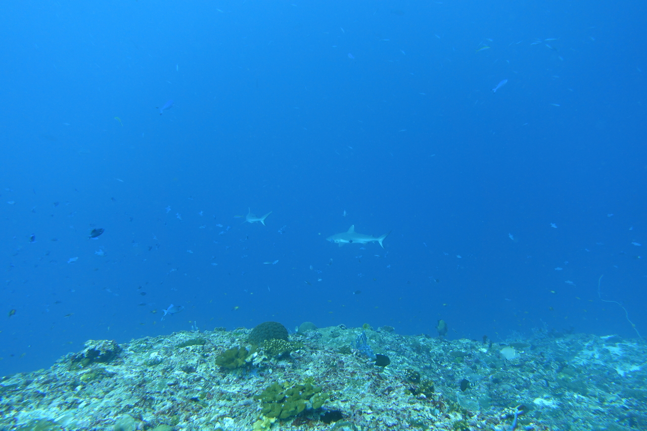 DSC00593.JPG