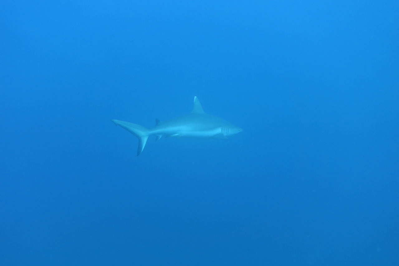 DSC00635.JPG