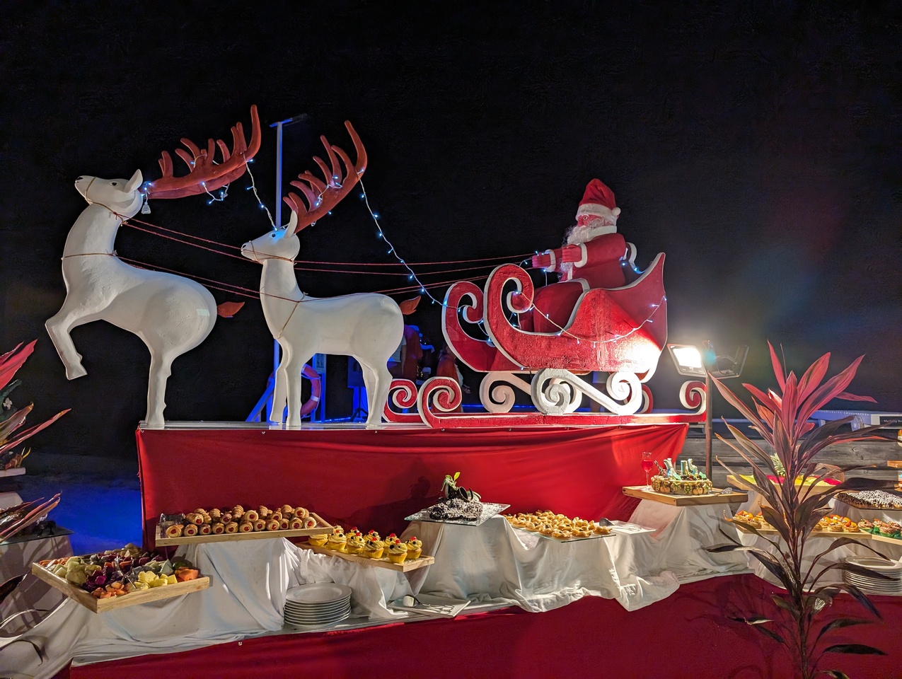 DSC00653-5.JPG
