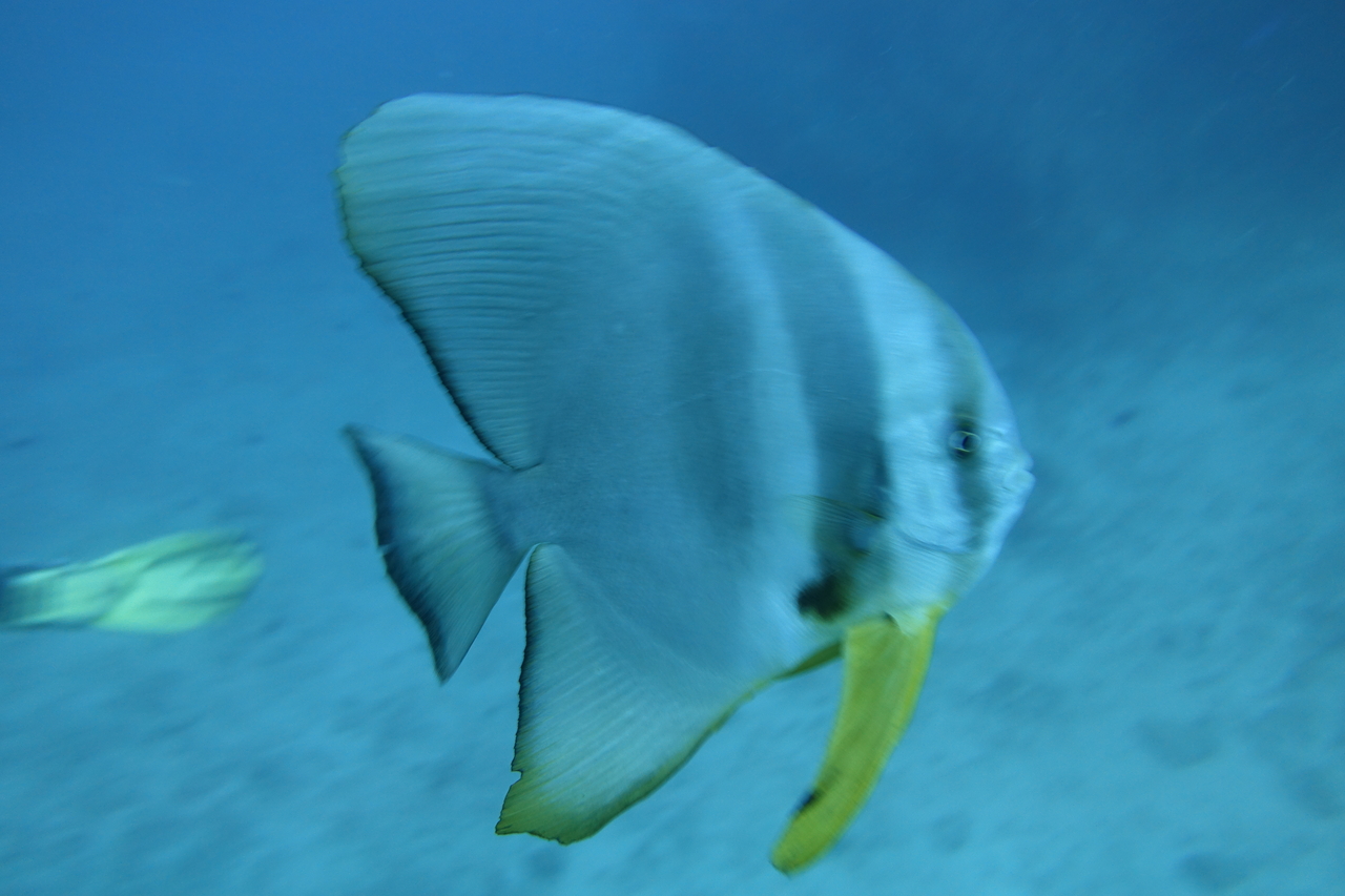 DSC00655.JPG