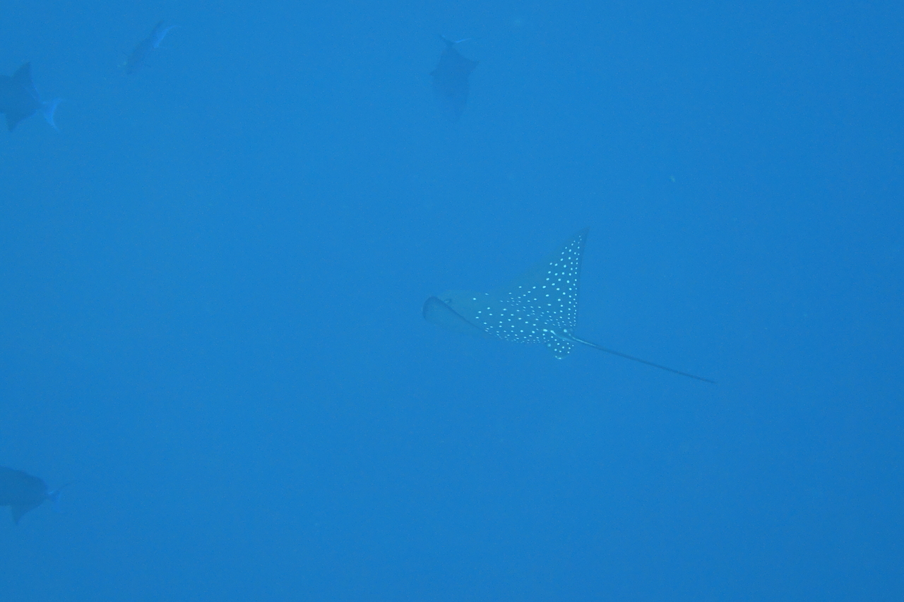 DSC00663.JPG