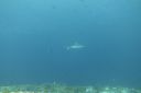 DSC00173.JPG