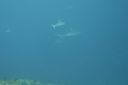 DSC00176.JPG