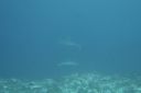 DSC00180.JPG