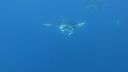 DSC00337.JPG