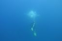 DSC00346.JPG