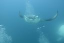 DSC00456.JPG
