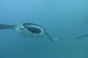 DSC00476.JPG