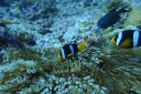 DSC00498.JPG