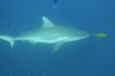 DSC00505.JPG