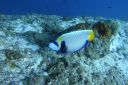 DSC00508.JPG