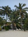 DSC00521-2.JPG